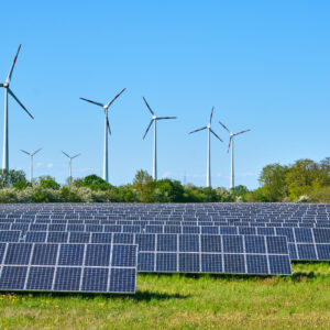 Energías renovables en el sector agrario para desempleados en Andalucía